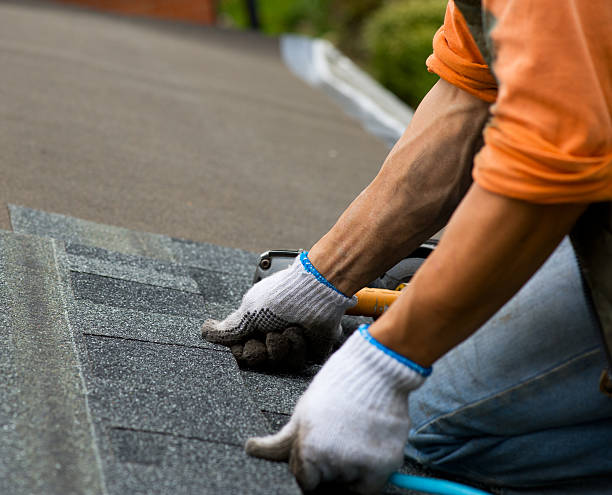Best Storm Damage Roof Repair  in Wolf Trap, VA